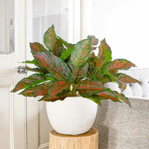 4 Pcs Artificial Hosta Plants Outdoor, 16" Fake Tropical Green Plants, UV Resistant, Realistic, Faux Green Leaf Stems for Home Offices Outside Porch Patio Balcony Garden Indoor Table Décor - color: Red, size: 4 Pcs
