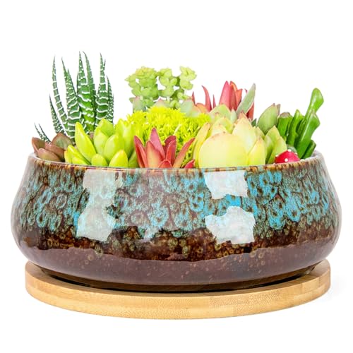 ARTKETTY Succulent Pots - 8 Inch Plant Pot, Large Bonsai Pots with Drainage Tray, Ceramic Planters for Indoor Outdoor Plants, Round Shallow Cactus Flower Plant Container Bowl Decorative Home Garden - color: Blue