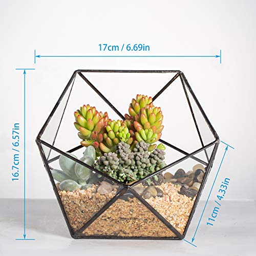 NCYP Opened Geometric Glass Terrarium, 6.69" Bowl Shape Planter for Succulent Plant Cacti, Indoor Balcony Irregular Decor, Garden Miniature Pot, Tabletop Centerpiece (No Plants)