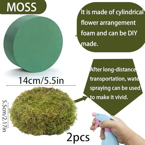 2 Pcs Round Floral Foam Blocks Green Moss Balls for Bowls Bulk Wet Dry Floral Plant Foam Block 5.5" Natural Preserved Pillow Moss for Craft Florist Easter Table Flower Arrangement DIY Decor