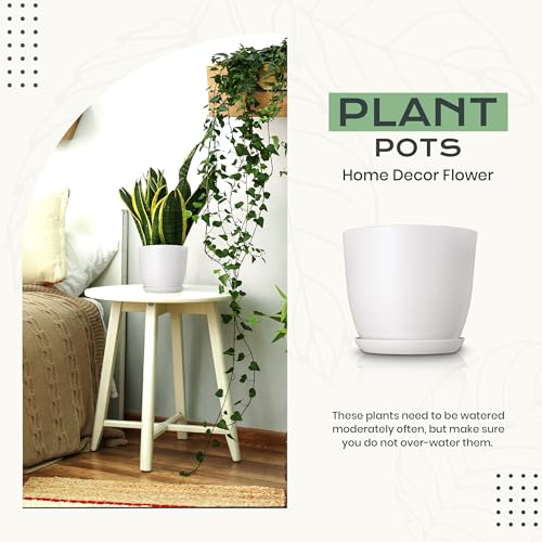 Utopia Home - Plant Pots Indoor with Drainage - 7/6.6/6/5.3/4.8 Inches Home Decor Flower Pots - Pack of 10 Plastic Planters for Indoor Plants, Cactus, Succulents Pot - Grey - color: Gray, size: Pack of 10