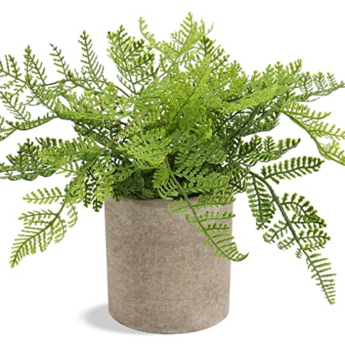 Hollyone Small Fake Plant Potted Plants Artificial Decor Silk Ferns Plant Faux Plants in Pots for Home Living Room Bedroom Desk Bathroom Window Shelf Farmhouse Decoration - color: 1 Pack - Style 1