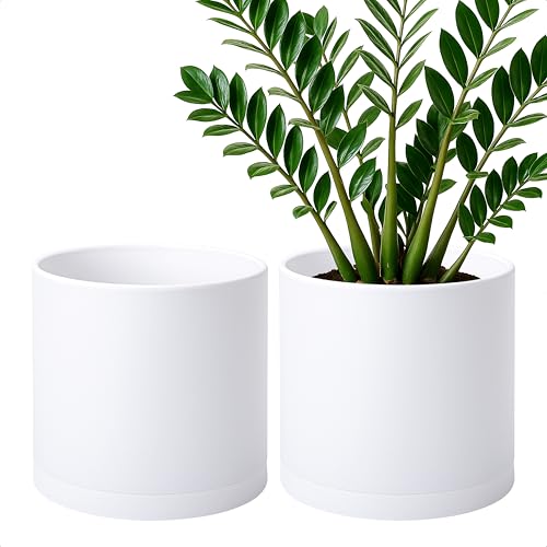 D'vine Dev 2 Pack 10 Inch Modern Plastic Plant Pots, Cylindrical Garden Planters for Plants with Drainage Holes and Saucers, White, 74-Z-N-1 - size: 10"