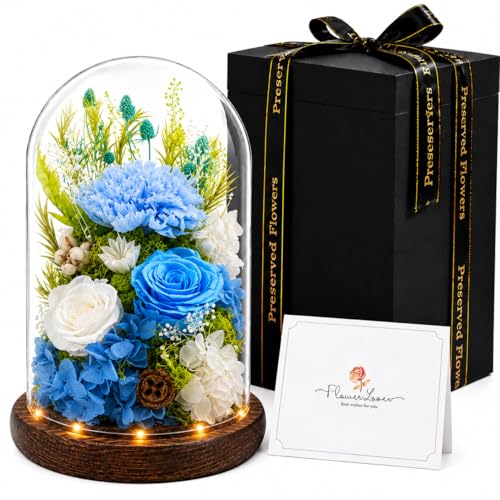 Preserved Flowers in Glass, Preserved Rose with 1 Carnation & 2 Roses, Eternal Real Flowers for Women Mom Grandma, Forever Rose Bouquet for Anniversary Birthday Mother's Day Lasts 3-5 Years - color: Blue