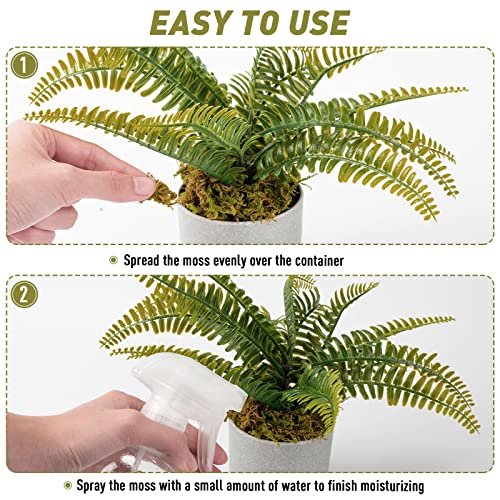 EBOOT 42.33 oz Faux Moss Fake Moss for Potted Plants Large Capacity Faux Dried Moss for Terrarium Decorative Artificial Natural Moss for Fake Plants Forest Moss for DIY Crafts Office Decor(2.65 lb)