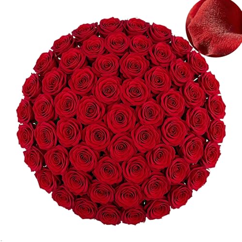 Red Artificial Roses Bulk,4in Large Fake Velvet Roses Faux Giant Flowers(50 - color: Red