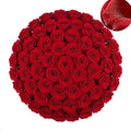 Red Artificial Roses Bulk,4in Large Fake Velvet Roses Faux Giant Flowers(50 - color: Red