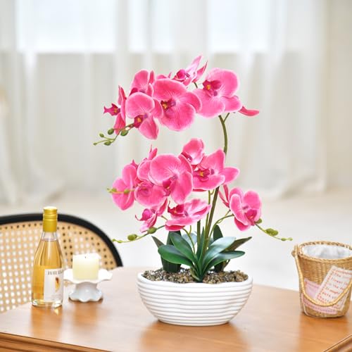 19" H Phalaenopsis Faux Orchid Plant Silk Orchid Centerpiece Artificial Floral Arrangement in Ceramic Pot (Rose Red) - color: Rose Red