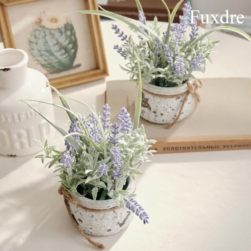 Small Fake Plants, 2 Pack Mini Artificial Plants Fake Lavender Plant in Pot, Lavender Decor and Dining Room Desk Shelf Bathroom Living Room (A-2pcs) - color: Purple