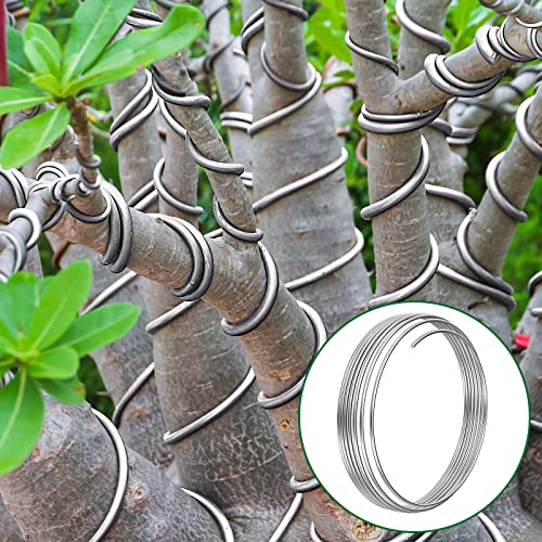Pelopy Aluminum Wire 1/4 Inch Diameter Metal Wire 40 ft Armature Bendable Armature for Sculpting Dolls Floral Jewelry Making Weaving DIY Crafts, Silver - size: 1/4 Inch,40 ft