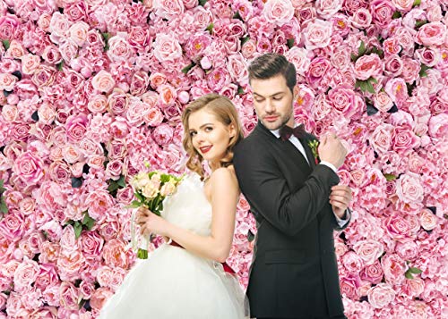 Flower Wall Backdrop Pink Rose Floral Photography Backdrop Ideal for Wedding Valentine's Day Girl's Party Portrait Photo Shoots Bridal Showers Studio Props 8x6FT 11990 - size: 8x6FT