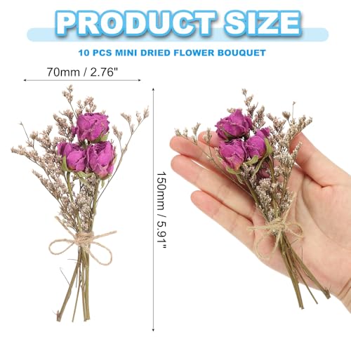 PATIKIL Mini Dried Flower Bouquet, 10 Pcs Rose Natural Wildflower with Stem Decor Baby's Breath Boho Floral Plant Flower for Crafts DIY Photo Props Gift Wedding Decor, Rose Red - color: Rose Red