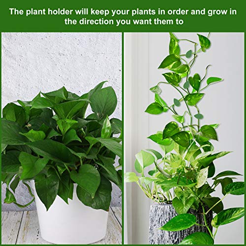 Geiserailie 60 Pieces Plant Climbing Wall Fixture Clips with 72 Pieces Acrylic Adhesive Sticker Leaf Fixer Invisible Wall Vines Fixing Clips Hook Plant Vine Traction for Indoor Outdoor Decoration
