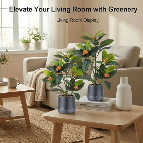 Gresorth 2 Pack Artificial Fake Green Potted Table Small Plants Decoration Simulation Osmanthus Tree Ornament Bonsai Display for Desk Decor Indoor Wedding Windows - color: B - 2 Sizes