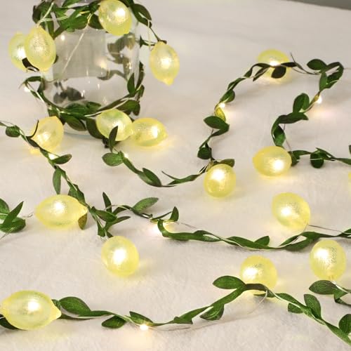 3D Lemon LED String Lights USB/Battery Operated Light String with Remote Timer 10FT 40LEDs Lemon Light Bulbs with Branches Leaves Fairy Lights for Bedroom Birthday Garden Party Decorations - style: Lemon