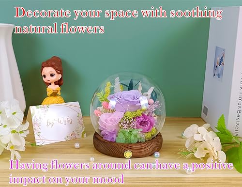 Valley of Rain & Forest Long-Lasting Real Flowers, Unique Floral Gift For you to send Love for All Occasions, for Indoor Decoration (Light-Purple Rose, Light-Pink & Purple-Pink Austin Roses) - color: Light-Purple Rose, Light-Pink Rose, Austin Rose
