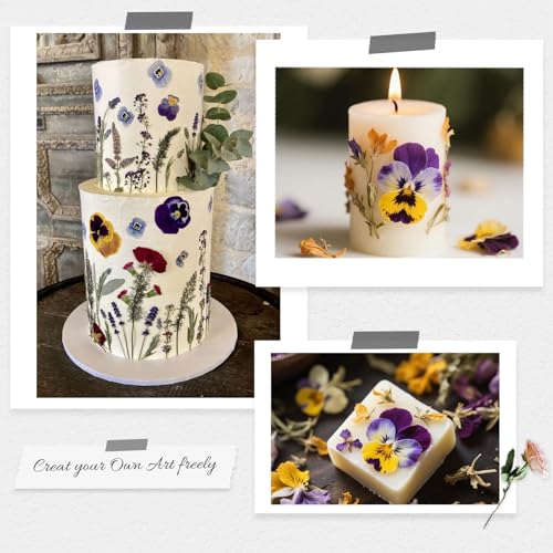 60Pcs Dried Pressed Pansies Flowers for Cake Decorating, Purple Real Dry Flower for Resin Art Crafts Jewelry Decorations - size: Purple
