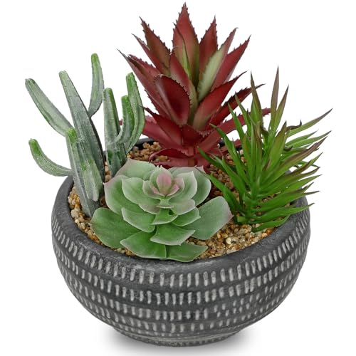 Briful Fake Succulents in Black Cement Pot, Artificial Succulent Plants Arrangement for Home Decor, Small Faux Potted Plants Tabletop Centerpiece, Desk Office Bathroom Shelf Decorations - color: Black