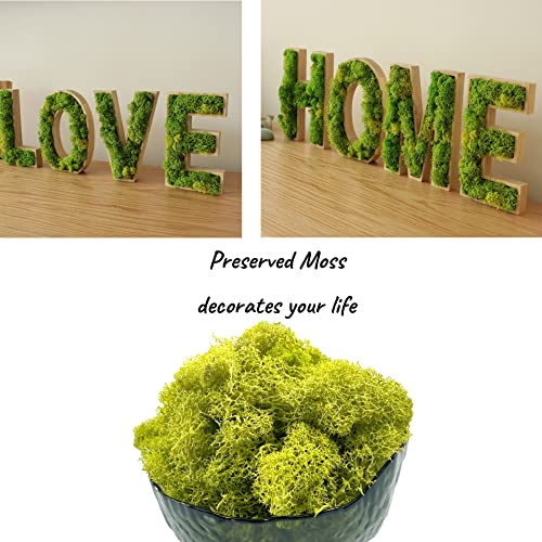 Moss Preserved Artificial Moss - 8.8 oz Natural Fresh Green for Craft, Arts, Floral Projects, Wall & Table Decor, Wedding Centerpieces, Garden Terrariums - Lemon Yellow - color: Lemon Yellow, size: 8.81oz