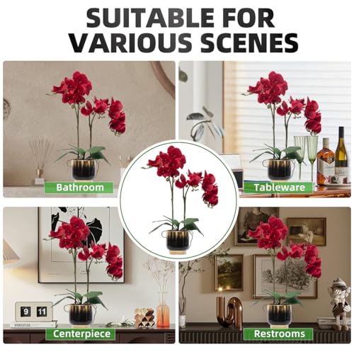 CXGS Orchids Artificial Flowers Real Touch Fake Flowers in Ceramic Pot 20" Red Faux Orchid Plant Lifelike Silk Phalaenopsis for Centerpiece Hotel Home Indoor Decor - color: Red- Blackgold Vase
