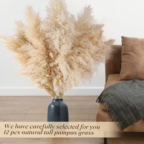 Pasuvsigt 12pcs 40'' Dried Pampas Grass Decor - Tall-Large Pampas Grass - Natural Beige - Boho Home Decor