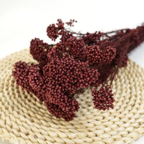 Natural Preserved Millet Flowers Dried Bouquet Flowers and Plants Arrangements for Home and Wedding Decoration (Wine Red) - color: Wine Red