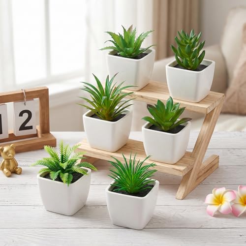 Woration 6pcs Realistic Fake Succulents Plants Potted Decoration Small Artificial Succulent Faux Greenery Model Set for Wedding Holiday Shelves Bathroom Indoor Decor - color: 6pcs White