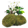 2 Pcs Round Floral Foam Blocks Green Moss Balls for Bowls Bulk Wet Dry Floral Plant Foam Block 5.5" Natural Preserved Pillow Moss for Craft Florist Easter Table Flower Arrangement DIY Decor