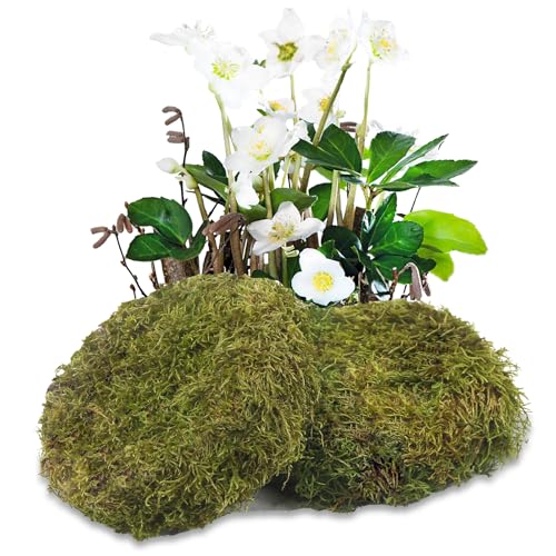 2 Pcs Round Floral Foam Blocks Green Moss Balls for Bowls Bulk Wet Dry Floral Plant Foam Block 5.5" Natural Preserved Pillow Moss for Craft Florist Easter Table Flower Arrangement DIY Decor