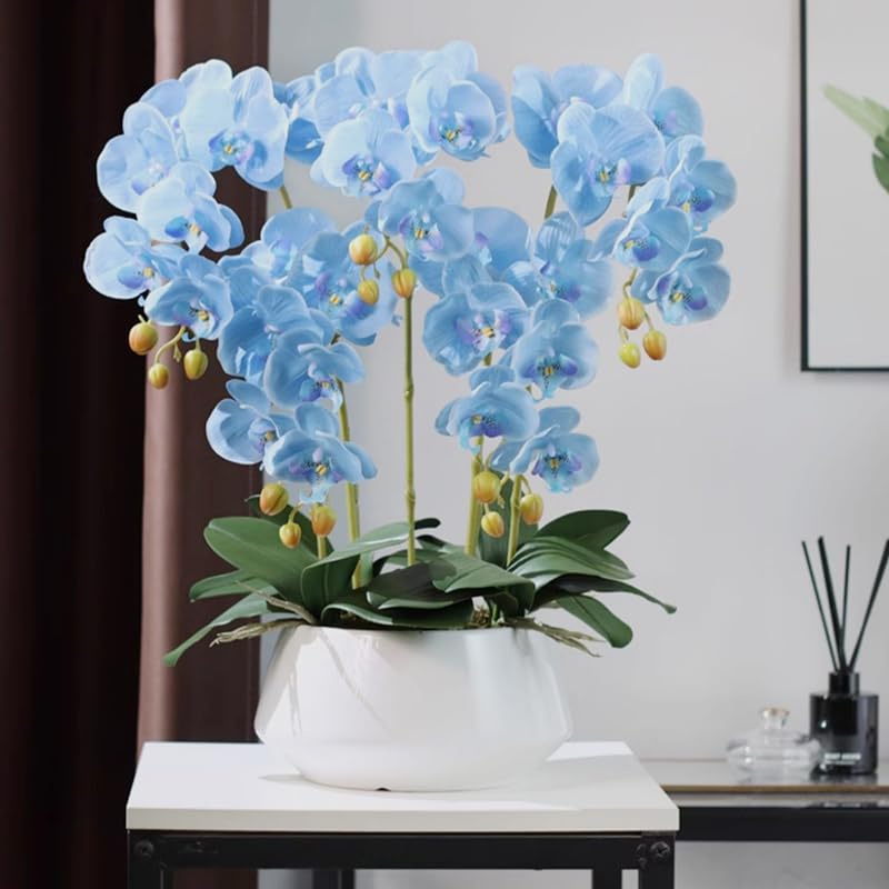 Artificial Phalaenopsis 5 Pcs Artificial Flowers Artificial Orchid Flowers Stem Fake Plants for Décor (Blue) - color: Blue