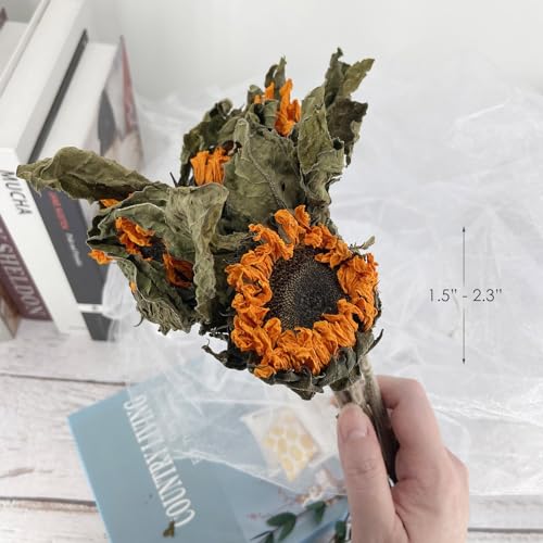 L'BREVOGA Dried Sunflowers with Stem, 3 pcs Natural Dried Sunflower for Floral Arrangements Home Wedding Party Decoration (15 Inches)