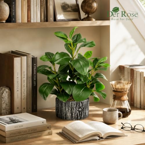 Der Rose 15.7" Artificial Plants Indoor, Money Leaf Fake Plants in Pot for Desk Shelf Office Bedroom Apartment Decor - color: 1pack-green Style a
