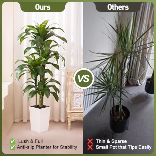 VeriNatural 6FT Artificial Dracaena Tree - UV Resistant Faux Tropical Plant, Potted Fake Tree with Taper Planter & Pebbles - Indoor Outdoor Greenery for Home, Porch, Living Room, Bedroom Decor, VN127 - color: White, size: 6ft