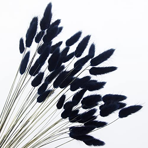 60pcs Dried Bunny Tails Flowers Black Pampas Grass Natural Dried Floral Arrangement Dry Flowers for Halloween Christmas Boho Decor Home Wedding DIY Craft Decoration (16")… - color: Black