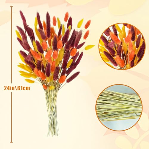 Uieke 240 Pcs Bunny Tails Dried Flowers, 17'' Natural Dried Pampas Grass Decor, Yellow Burnt Orange Burgundy Reed Grass Bouquet for Boho Wedding Home Party Fall Decorations - color: Yellow Burnt Orange-240pcs