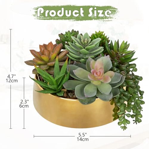 DILATATA Artificial Succulent Plants in Pot 5.5 Inch Fake Succulents Arrangement Potted Plant in Gold Ceramic Planter Bowl for Home Office Desk Shelf Living Room Bedroom Bathroom Decor - color: Gold Ceramic#style 2