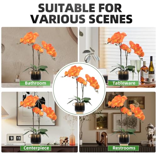 CXGS Orchids Artificial Flowers Real Touch Fake Flowers in Ceramic Pot 20" Orange Faux Orchid Plant Lifelike Silk Phalaenopsis for Centerpiece Hotel Home Indoor Decor - color: Orange- Black Gold Vase