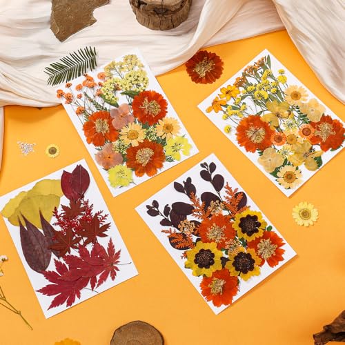 85Pcs Dried Flowers for Crafts, Natural Pressed Flowers for Crafts Real Dried Pressed Flowers Dry Leaves in Orange & Yellow for Resin, DIY Art, Scrapbook, Jewelry, Candle & Soap Making w/ Tweezer - color: Orange & Yellow 85pcs