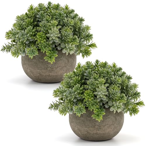 Gresorth 2 PCS Small Artificial Potted Plant Decoration in Pulp Pots Fake Topiary Plants Ornament Lifelike Faux Green Landscape Model for Party Bedroom Windowsill - color: B - 2 Pcs