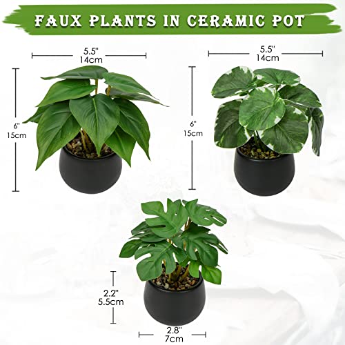 Briful 3PCS Fake Plants Potted Artificial Plants Mini Faux Plants in Black Ceramic Pots Greenery Décor for Home Office Table Room Farmhouse Indoor Decoration - color: Type#2