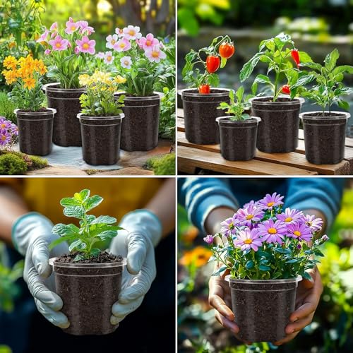 36 Packs 6.5/5/4/3.5 Inch Reinforced Clear Nursery Pots with Drainage Hole, Variety Pack High Transparency Plastic Seedling Plant Pot with 20 Labels - size: 3.5/4/5/6.5 in-36p