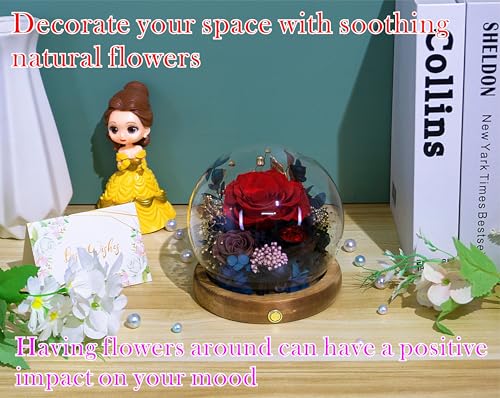 Valley of Rain & Forest Long-Lasting Real Flowers With Delivery | Unique Floral Gift For You to Send Love for All Occasions, Aesthetic Home Decor (Preserved Red Black Roses Arrangement) - color: Red Rose, Brown Rose, Black-Red Austin Rose
