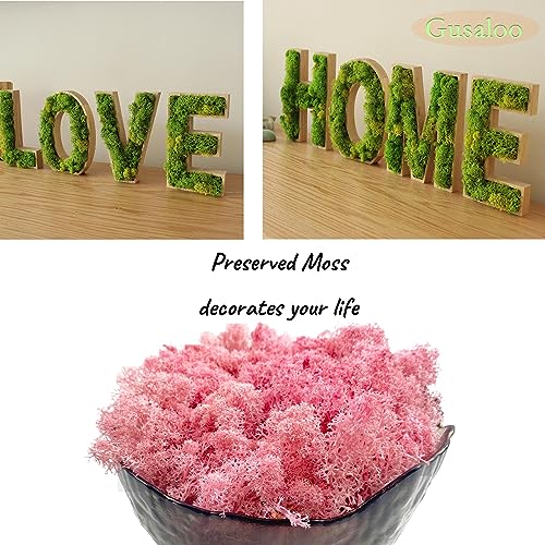Moss Preserved Moss for Potted Plants Natural Fresh Green Reindeer Moss for Craft Arts Floral Wall Decor Decor Wedding Centerpieces Garden Artificial Terrariums Decoration for Christmas-Light Pink - color: Lightpink, size: 3.5oz