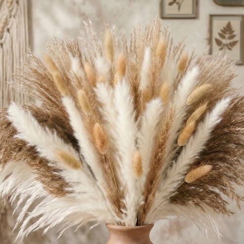 17 Inch Brown & White Dried Pampas Grass Bouquet, Bunny Tails and Reed Grass for Boho Rustic Wedding Decor, Living Room, Bedroom Styling and Holiday Decor - color: 61pc Pampas Gress