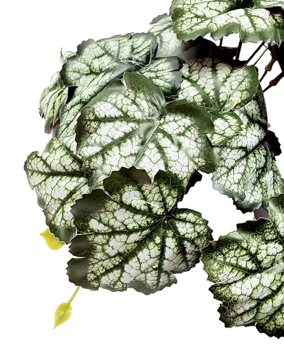 Woyrise Reptile Plants, Terrarium Hanging Plants Vines for Reptile Tank, Amphibian Habitat Leaves Decor with Suction Cups for Bearded Dragon Lizard Snake Gecko Frog Hermit Crab - 2Pack Green Heuchera - color: Heuchera