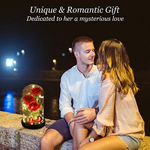 Beauty and The Beast Rose, Classic Red Rose with LED Lights and Falling Petals, Gifts for Women, Birthday Gifts for Women, Light Up Rose in Glass Dome, Valentine's Day Gifts for her - color: Classic Red