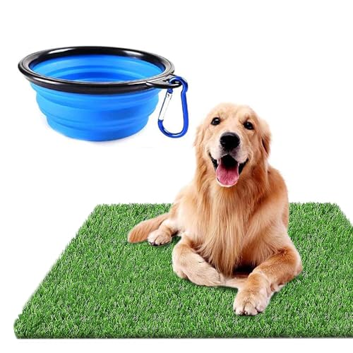 Dog Grass Pad for Dogs - size: 6 Count (Pack of 1)