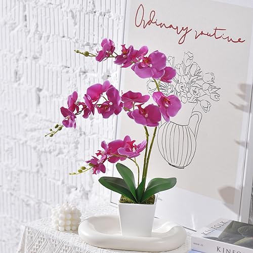 Faux Orchid in Vase Artificial Orchid in Ceramic Vase Tall Silk Orchids with Stems Real Look Potted Phalaenopsis Flowers Arrangement Centerpiece Table Decorations for Home Decor Indoor, Fuchsia - color: Y-fuchsia