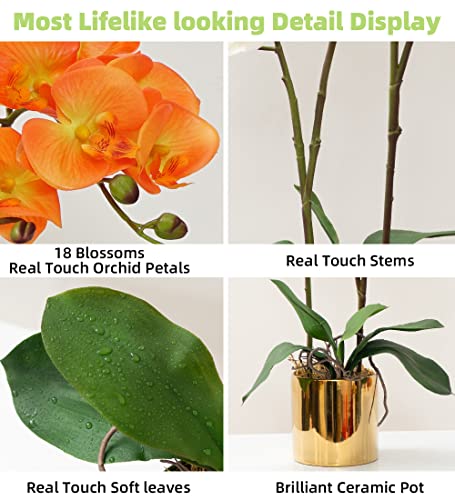 CXGS Artificial Orchid Flower Plant Real Touch Faux Orchids in Ceramic Vase Orange 19.7'' Fake Phalaenopsis Flower Arrangement Centerpiece Home Indoor Decor - color: Orange- Golden