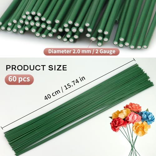 Floral Wire Stems, 60 Pack Flower Stems, 2 Gauge Green Floral Stem Wire for Paper Wrapped Wreath Making Supplies - color: Green